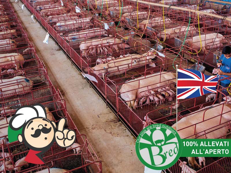 Gran Bretagna: le etichette sui prodotti di origine animale ingannano i consumatori